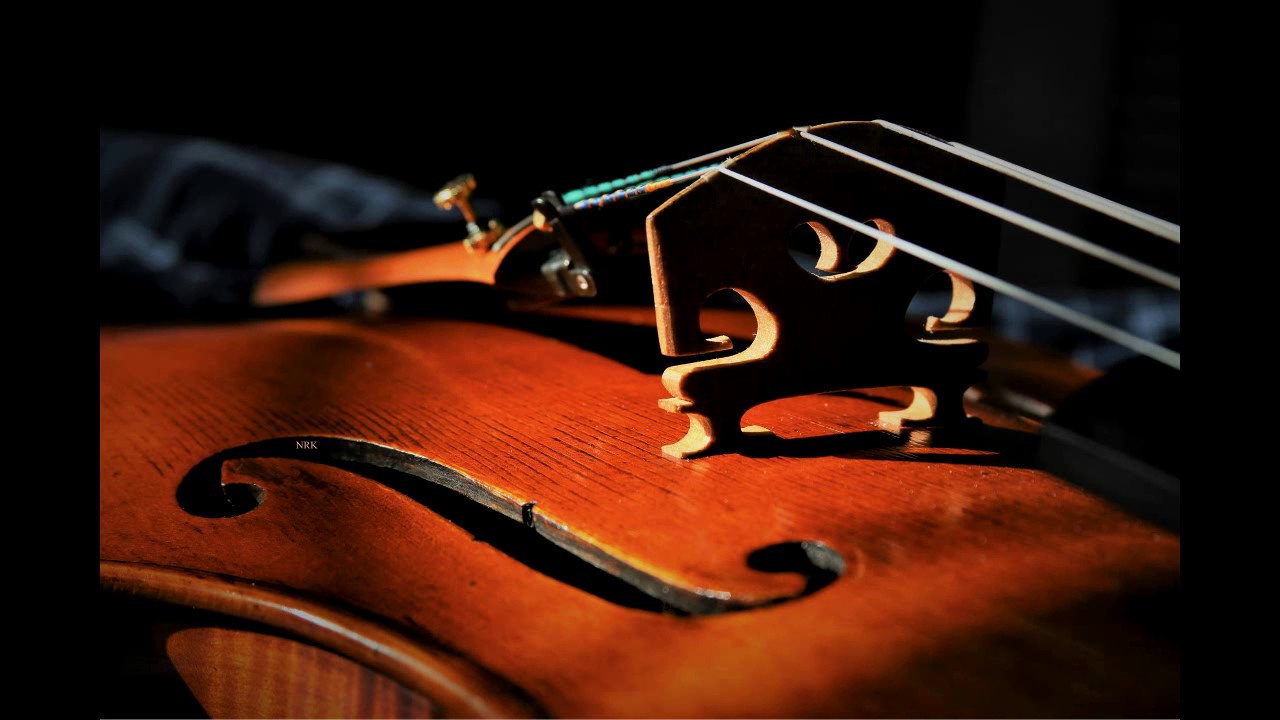Hire Violinist/Violist Violinist in Chicago, Illinois