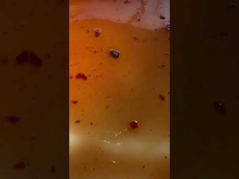 Соус Kikkoman Терияки Барбекю в корейском стиле 250 мл (Kikkoman Teriyaki BBQ Korean Style) Оригинал - фото 1 - id-p2905953281