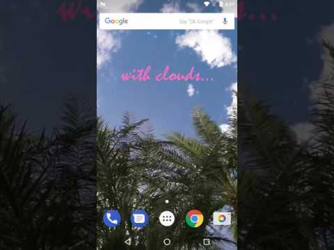 Sky Palm Live Wallpaper Video