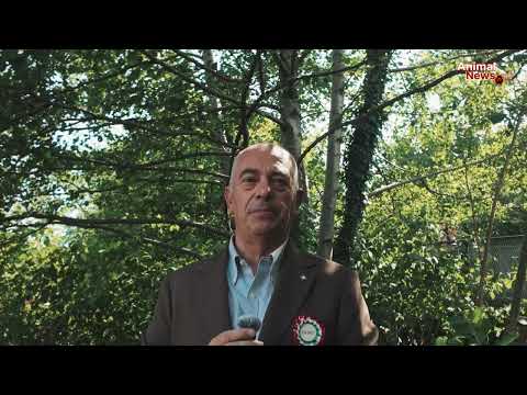 National Dog Show Caravate 2026 - Interview with ENCI judge Mauro Mostura