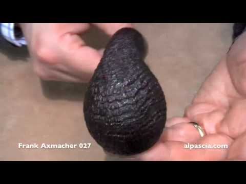 pipa Frank Axmacher 027 - smoking pipes