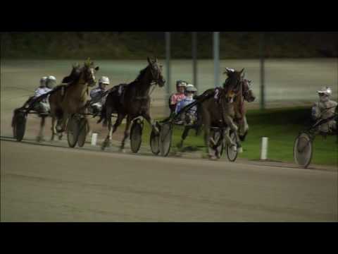 Victoria Park Wolvega 3-2-2017 KOERS 8 COUP DROIT - R. BAKKER