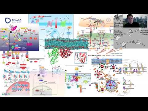 Webinar: Biomarker Discovery with CETSA® Explore - Focus on protein status