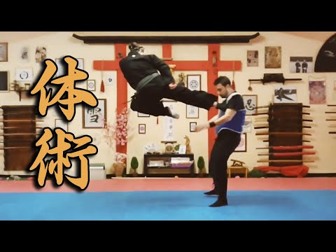 Taijutsu 体術 - Recovered material, from 2018