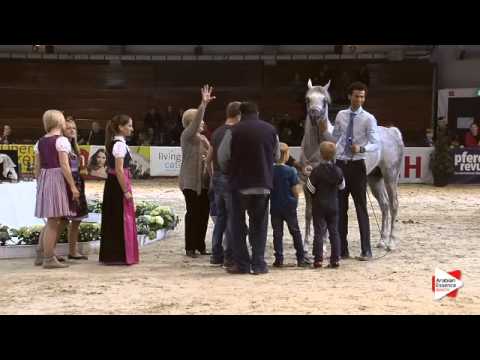 1st Place N.43 AL NADIR - Wels 2015 - National Jr Colts Championship (Class 16)