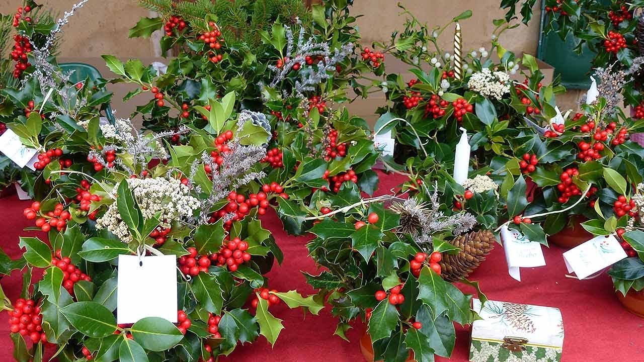 Talleres de Centros de Acebo en Soria por Navidad en 2017