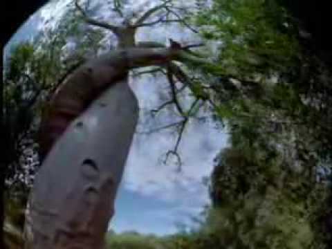 Apoptygma Berzerk   Kathy's Song Ferry Corsten Remix