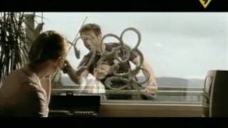 Sasha   I Feel Lonely Official Vídeo