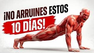 Los Primeros 10 Días de Calistenia lo Deciden TODO