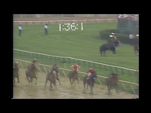 Deputed Testamony, the 1983 Tesio and Preakness Stakes winner