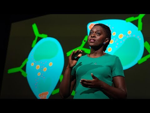 TED】Faith Osier:一個更好的瘧疾疫苗的關鍵 (The key to a better malaria vaccine | Faith Osier) (【TED】Faith Osier: The key to a better malaria vaccine (The key to a better malaria vaccine | Faith Osier))