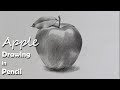 How to Draw An Apple in Pencil | step by step how to use pencil strokes | Artist : Supriyo