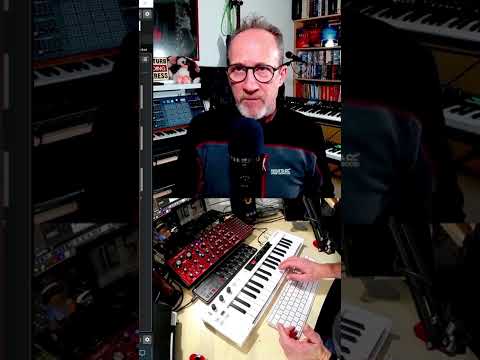 How does a paraphonic synth work ? #paraphonic #synths