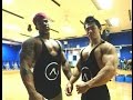 BLACK BROLY OLYMPIA PREP