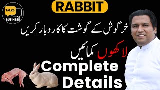 Rabbit Meat Business in Pakistan - A Profitable Marketing Strategy Complete Step-by-Step Guide!!!