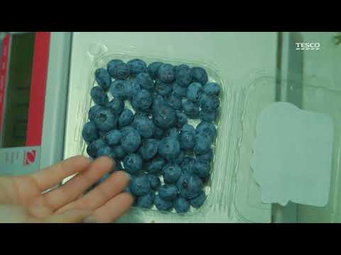 Příběh našeho dodavatele borůvek - Čerstvě utrženo