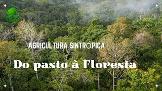 Água se planta 2 - Episódio 7 - Agricultura sintrópica, do pasto à floresta.