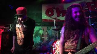 Hed PE &quot;Serpent Boy&quot; 12-1-16 O&#39;Malley&#39;s Sports Bar &amp; Grill Margate, FL