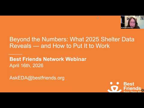 Beyond the Numbers: What 2025 Shelter Data Reveals — and How to Put It to Work