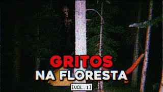 Coisas Perturbadoras Encontradas em Florestas [vol.1]