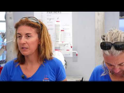 AU COEUR DES SCIENCES : Expédition Tara : un objectif de 35 000 échantillons