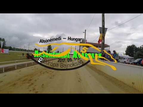 Kutyámmal Vadászom Hound - (Alsónémedi agárpark EB.  futam 1  rész )