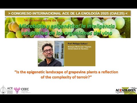 Fotograma del vídeo: Is the epigenetic landscape of grapevine a reflection of the complexity of terroir?, por P. Gallusci