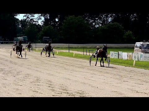Memorial Marka Slaviča st. 2015