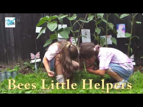 Bees Little Helpers