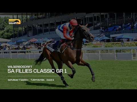 PREVIEW: WILGERBOSDRIFT SA FILLIES CLASSIC GR1