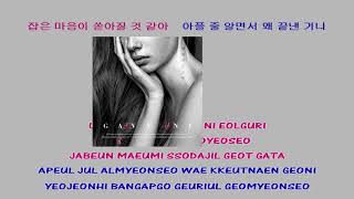 Gavy NJ 가비엔제이 You said you were happy 행복하댔잖아 Instrumental official + Lyrics