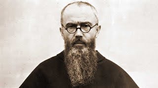 HOMILIA DE SEGUNDA-FEIRA - MEMÓRIA DE SÃO MAXIMILIANO MARIA KOLBE