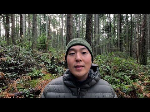 The Longest Night Is Over And Brighter Days Are Here