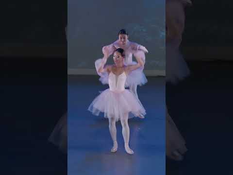 The Russian Ballet School