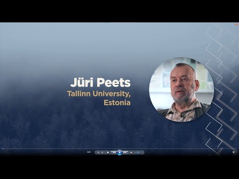 Jüri Peets: About the swords of Salme