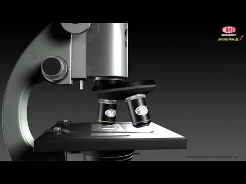 MICROSCOPE WORKING IN ANIMATION