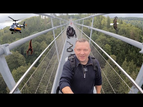 Skywalk in Willingen eine Reise wert ??