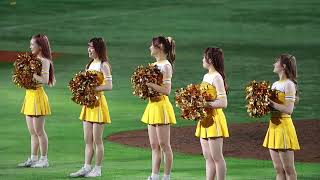 【ハニーズ】2024.6.2 ホークス勝利後のビバ！