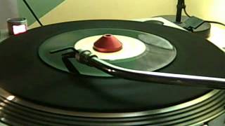 Jah Bull - Confrence Table