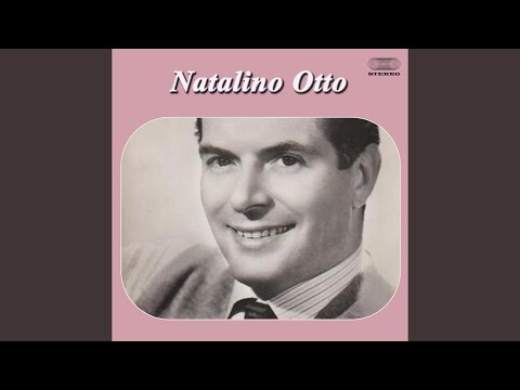 Op op trotta cavallino