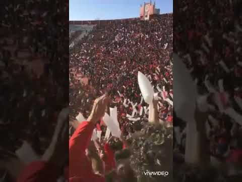 "Hinchada de AAAJ vs Tigre (parte 1)" Barra: Los Ninjas &bull; Club: Argentinos Juniors