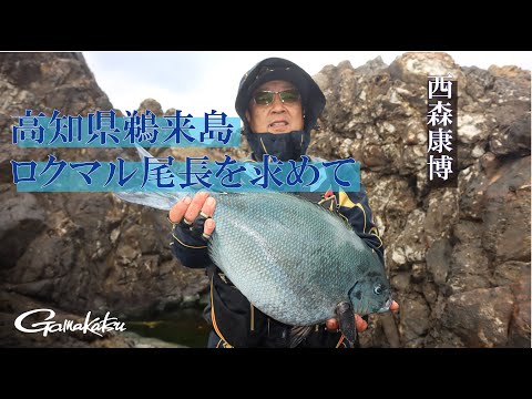 高知県鵜来島・ロクマル尾長を求めて