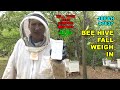 Bee Hive Fall Weight Check S7E37 #beekeeping