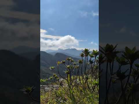 knuckles 👊🍃 #srilanka #knuckles #fivepeaks #alugalkanda #gombaniya #travelsrilanka #mountains