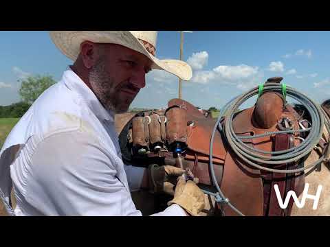 Buster Frierson Cutting a Pipe Collar Off of a Cow