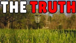 The Truth About My Disc Golf Game