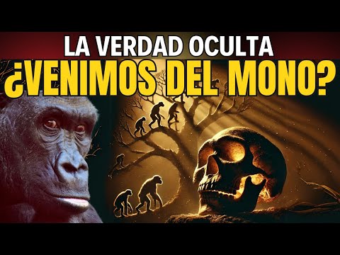 🐒¿Descendemos del MONO? 🔥La VERDAD Revelada 🧬El MISTERIO de Nuestros ORÍGENES ⚡Lo que NO te Contaron