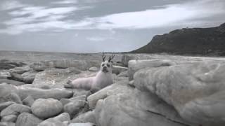 WWF Wonder World Fur: Bamboseal