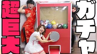 【工作】超巨大ダンボールガチャポン作ってコスプレガチャやってみた！