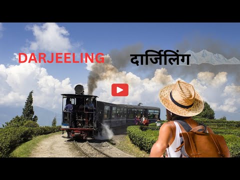 Padmaja Naidu Himalayan Zoological Park: A Nature Lover's Paradise in Darjeeling | West Bengal